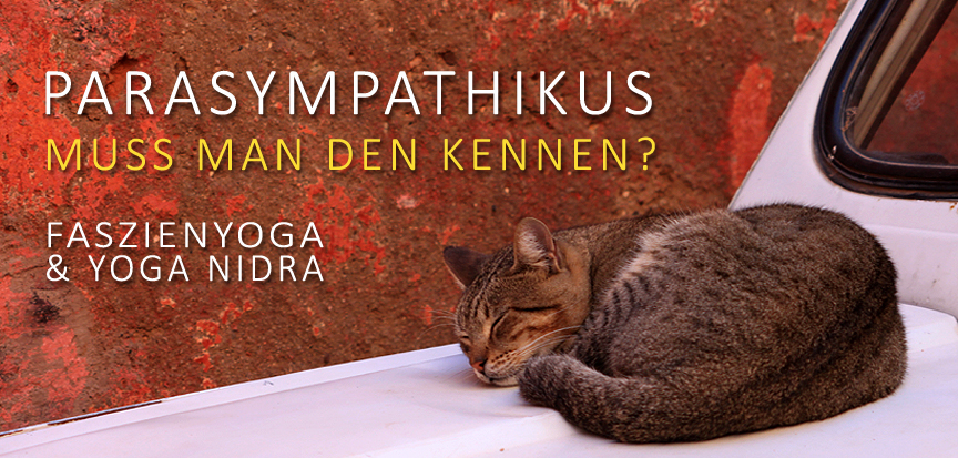 PARASYMPATHIKUS-MUSS MAN DEN KENNEN? OPENMINDYOGA Workshop - Yin Yoga und Yoga Nidra - am 24. November 2019 von 10-13 Uhr in der Printarena, Schnackenburgsallee 158, Hamburg